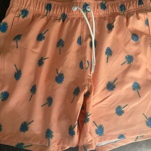 Mens size small brand new with tags Hollister swim trunks